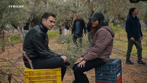 Η Γη Της Ελιάς 4. évad Ep.102 102. epizód