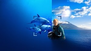 A delfinek világa Bertie Gregoryval háttérkép