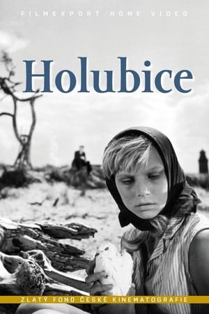 Holubice poszter