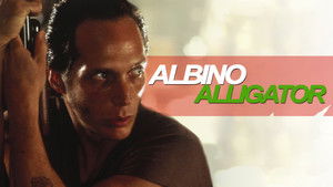 Albínó aligátor háttérkép