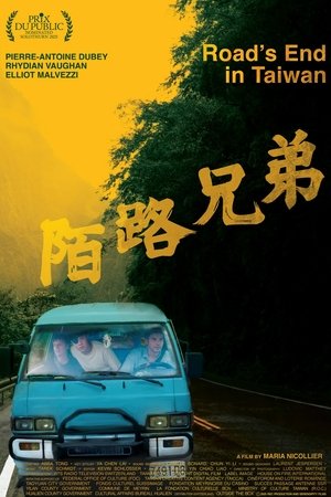 陌路兄弟 poszter