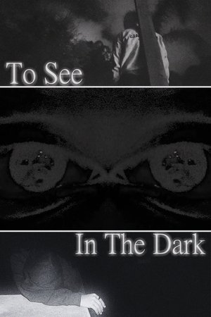 To See In The Dark poszter