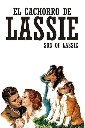 Son of Lassie poszter