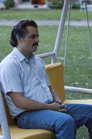 Narcos poszter