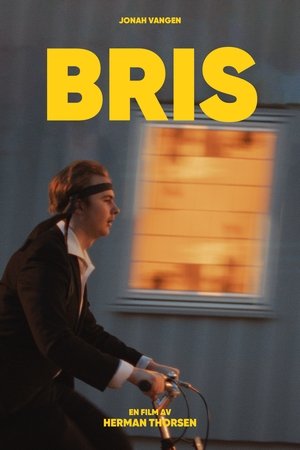 Bris poszter