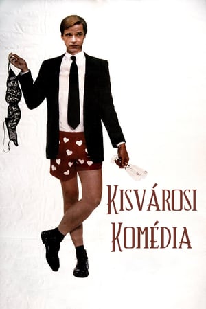 Kisvárosi komédia