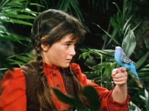 Swiss Family Robinson Season 1 Ep.15 15. epizód