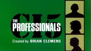 The Professionals kép