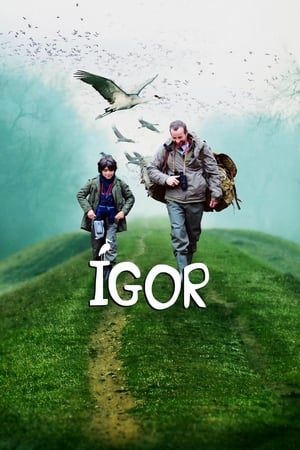 Igor & the Cranes' Journey poszter