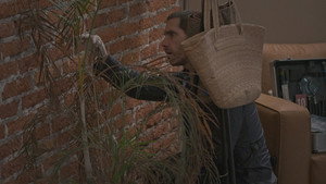 Buscando a Frida 1. évad Ep.77 77. epizód