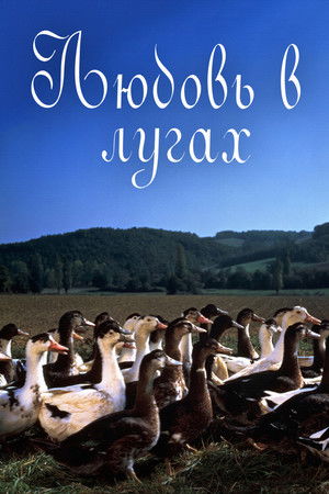 Boldogság a réten poszter