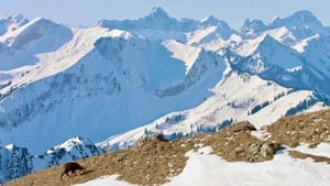 Winter am Alpenrand háttérkép