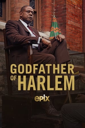 Godfather of Harlem poszter