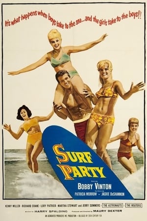 Surf Party poszter