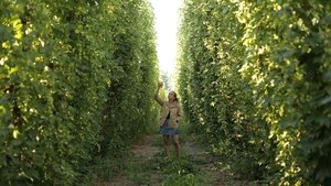 Beerland Season 2 Ep.1 1. epizód