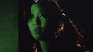 女番長　野良猫ロック háttérkép