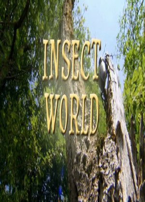 Insect World poszter