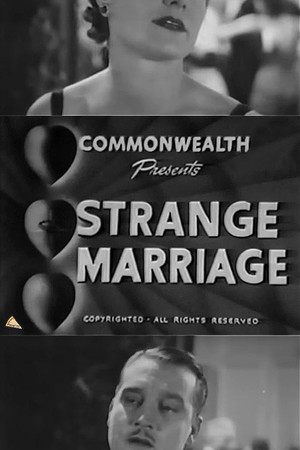 Slightly Married poszter