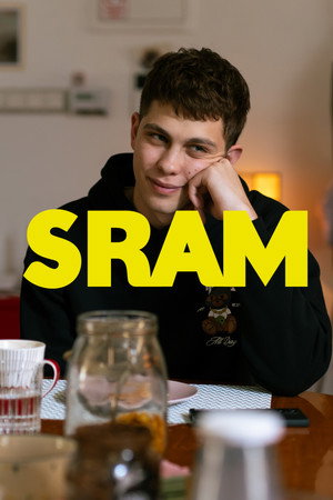 SRAM poszter