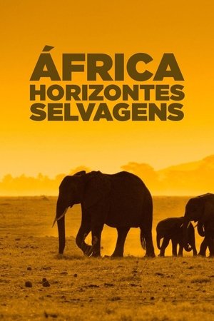 Afrika vad horizontjai poszter