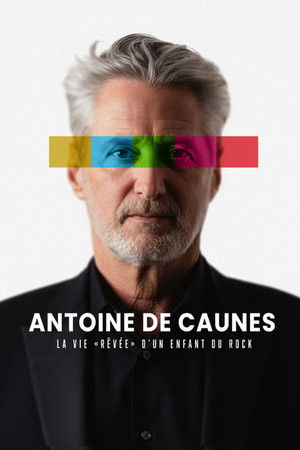 Antoine de Caunes : la vie rêvée d'un enfant du rock poszter