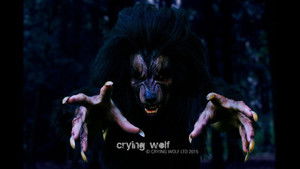 Crying Wolf háttérkép