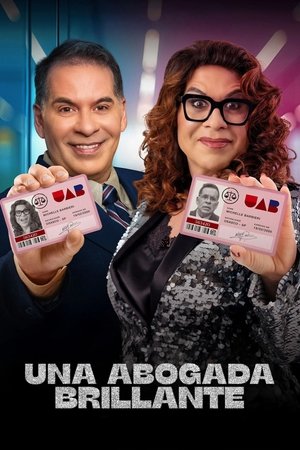 A zseniális ügyvéd poszter