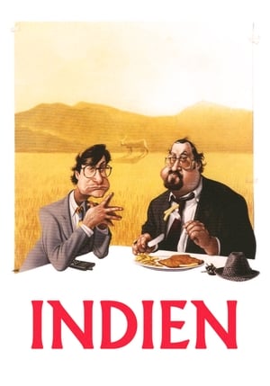 Indien - der Film poszter