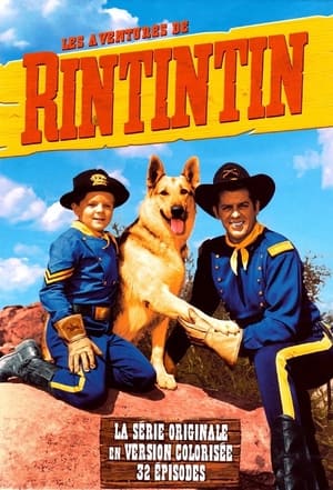 The Adventures of Rin Tin Tin poszter