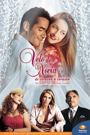 Velo de novia