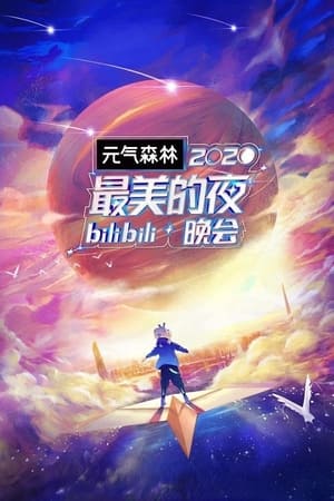 最美的夜 bilibili晚会