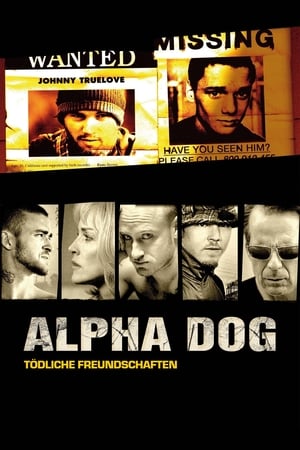 Alpha Dog poszter