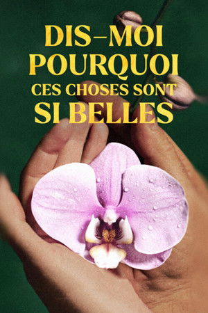 Dis-moi pourquoi ces choses sont si belles poszter