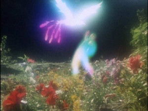五星戦隊ダイレンジャー 1. évad Ep.36 36. epizód
