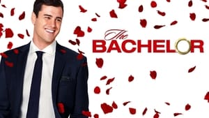 The Bachelor kép