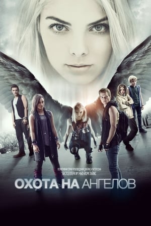 Maximum Ride - Szárnyra kapva poszter