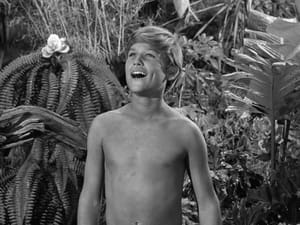 Gilligan's Island 1. évad Ep.19 19. epizód