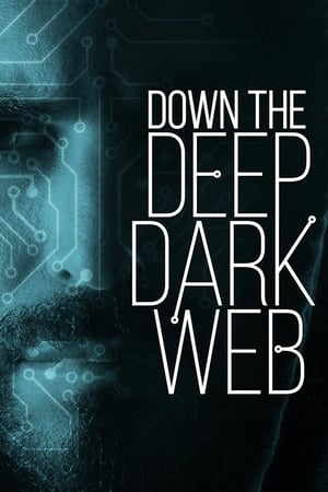 Down the Deep, Dark Web poszter