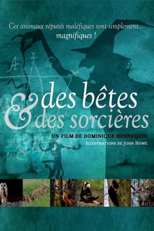 Des Bêtes et des Sorcières poszter