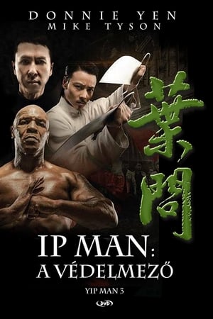 Ip Man - A védelmező