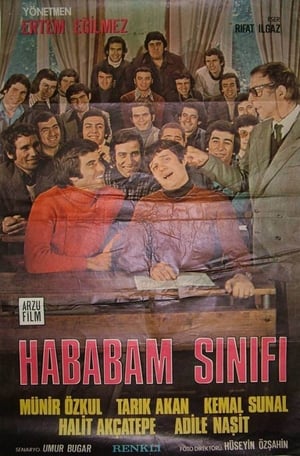 Hababam Sınıfı Serisi