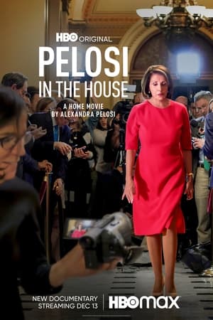 Pelosi in the House poszter