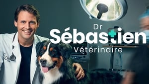 Dr Sébastien, vétérinaire kép