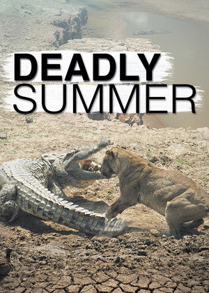 Deadly Summer poszter