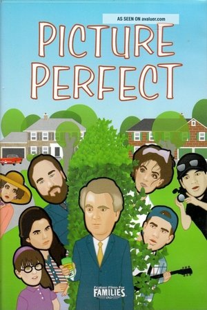 Picture Perfect poszter