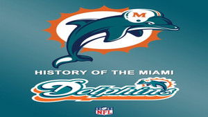 History of the Miami Dolphins háttérkép