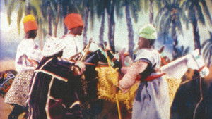 Samba le grand háttérkép