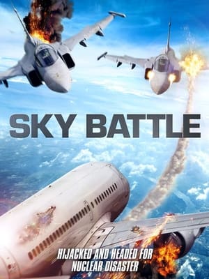 Airliner Sky Battle poszter