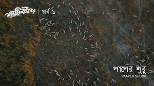 শাটিকাপ 1. évad Ep.1 1. epizód