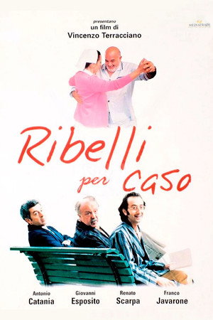 Ribelli per caso poszter